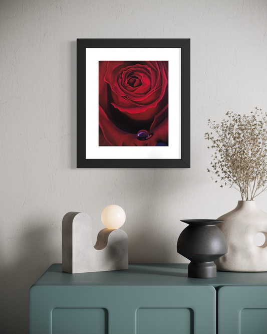 "Röd Ros" Fine Art Print