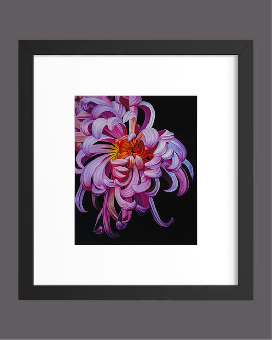 "Krysantemum" Fine Art Print