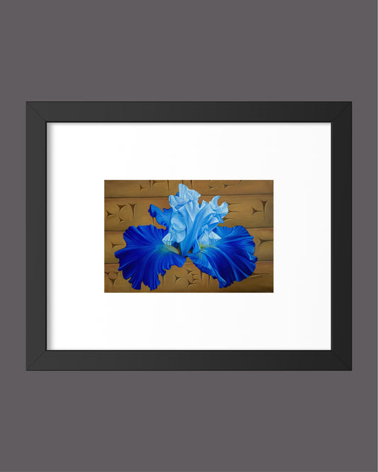"Blå Iris" Fine Art Print