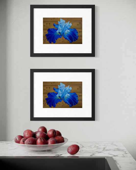 "Blå Iris" Fine Art Print