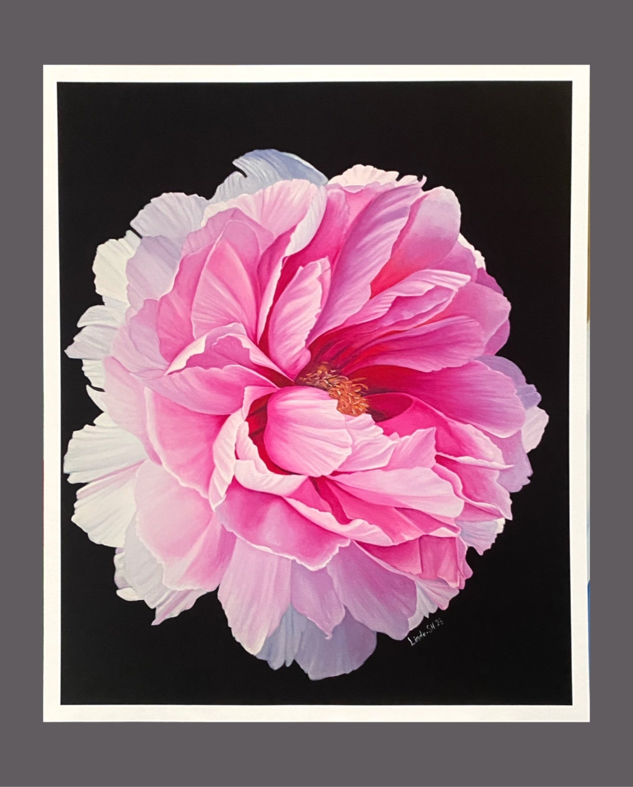 "Rosa Pion" Fine Art Print