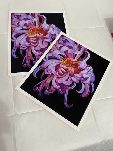"Krysantemum" Fine Art Print
