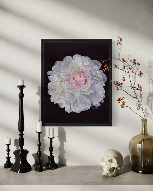 Vit pion-Handmålade olja tavla 50x40 cm