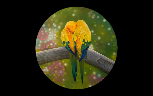 Papegojor - Solparakiter - Handmålad Rund Oljetavla 70 cm