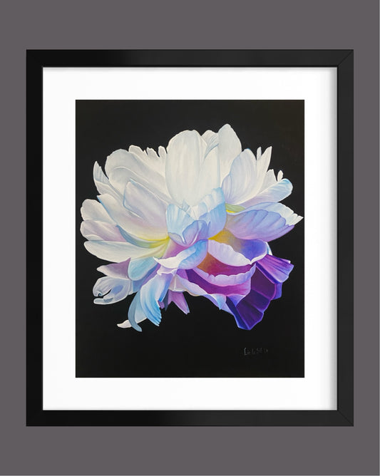 "Vit Pion" Fine Art Print