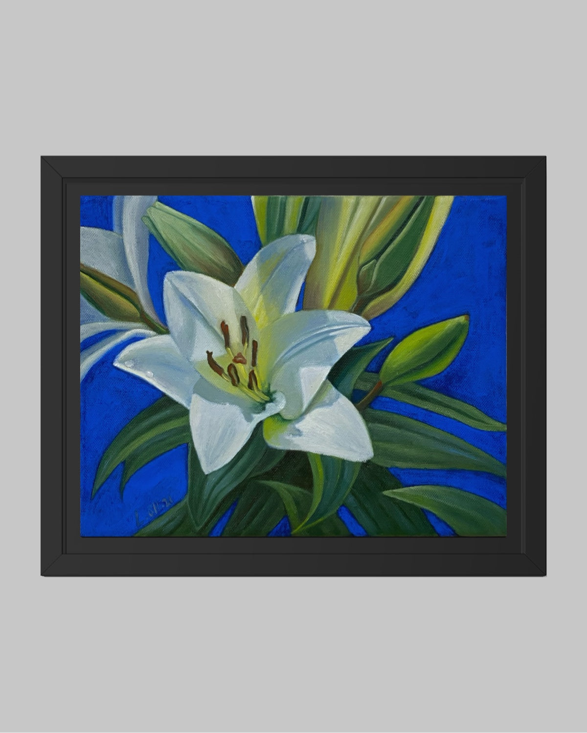 Vit Lilja-Handmålad Oljetavla 30x24 cm