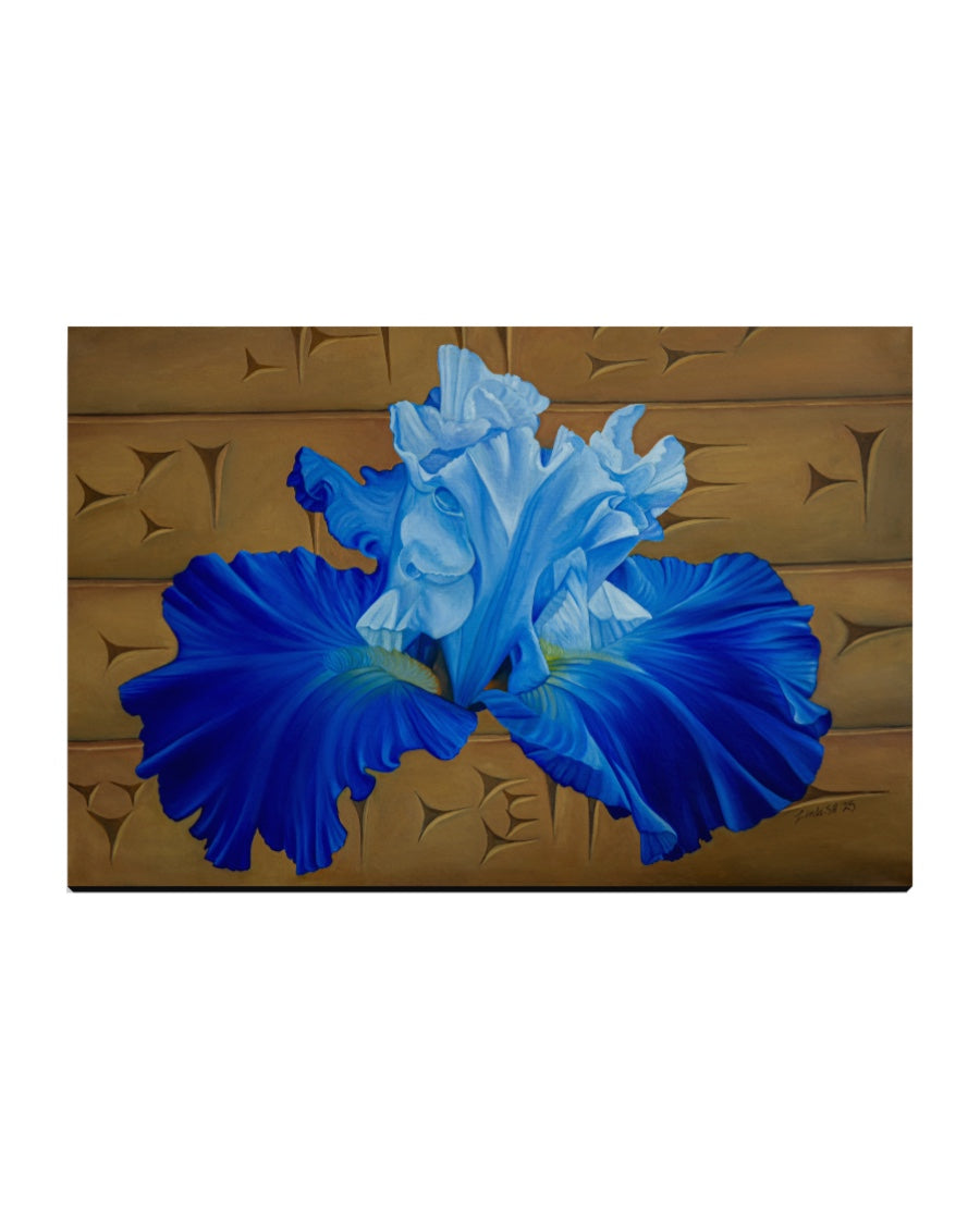 "Blå Iris" Fine Art Print