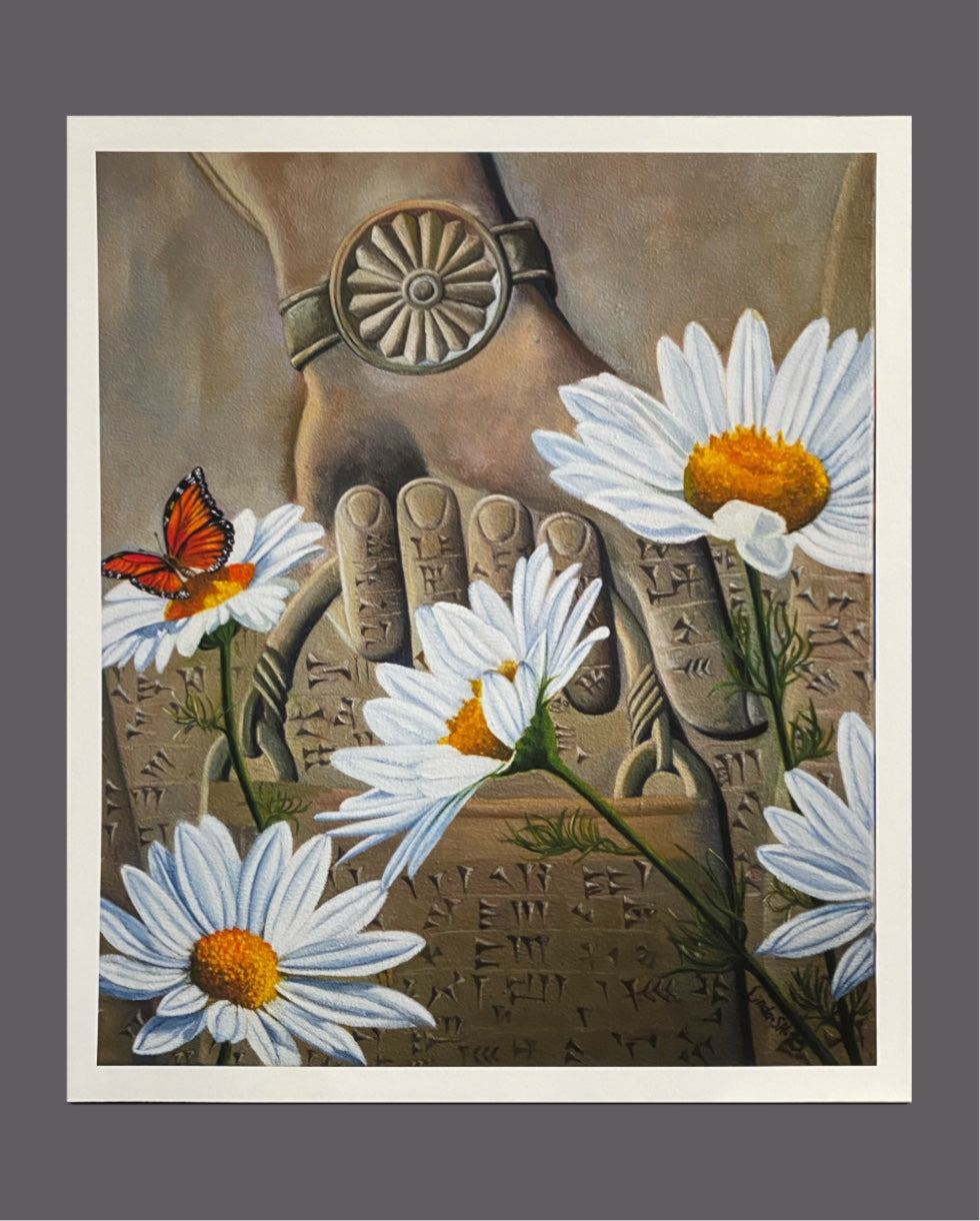 Kamomill blommor- Fine Art Print