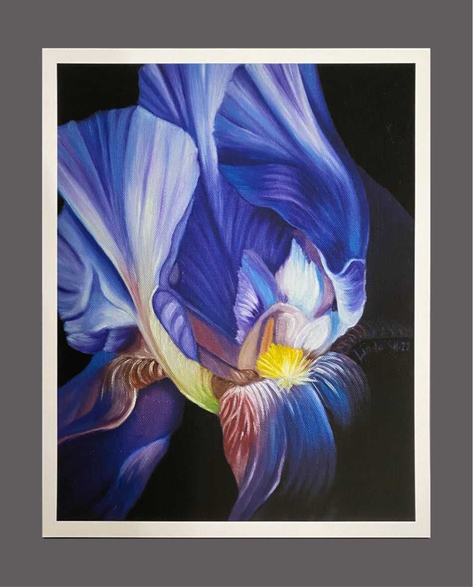 "Blå Iris" Fine Art Print
