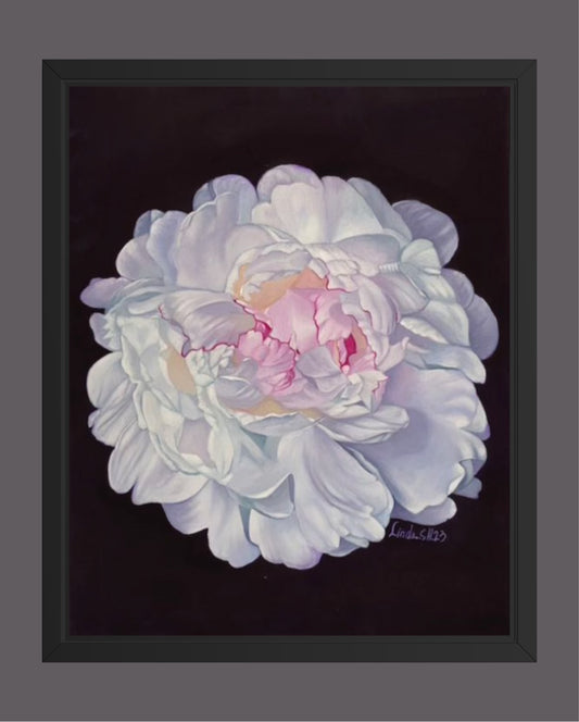 Vit pion-Handmålade olja tavla 50x40 cm