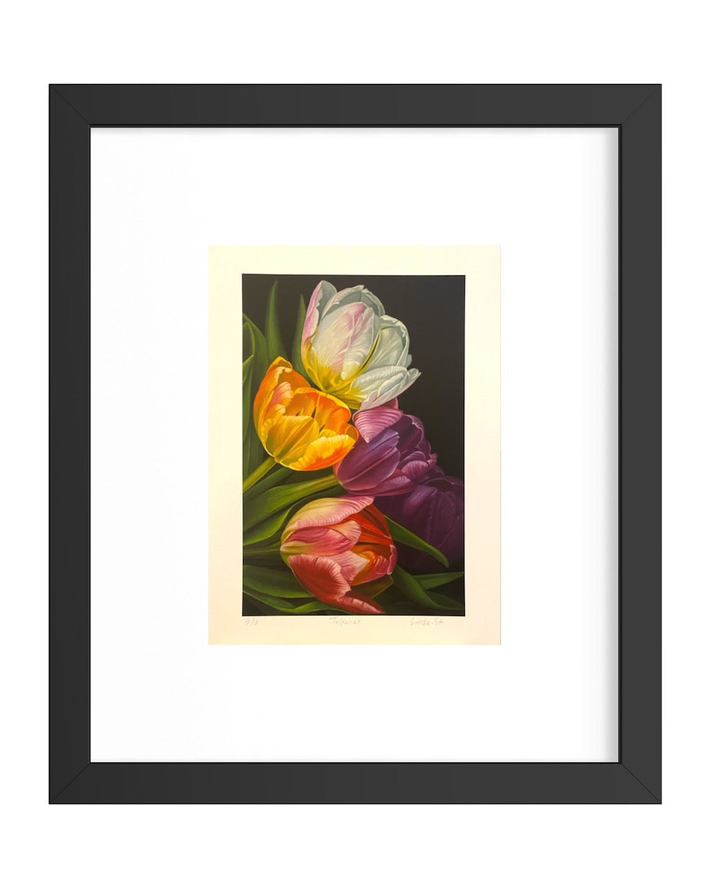Tulpaner-Fine Art Print