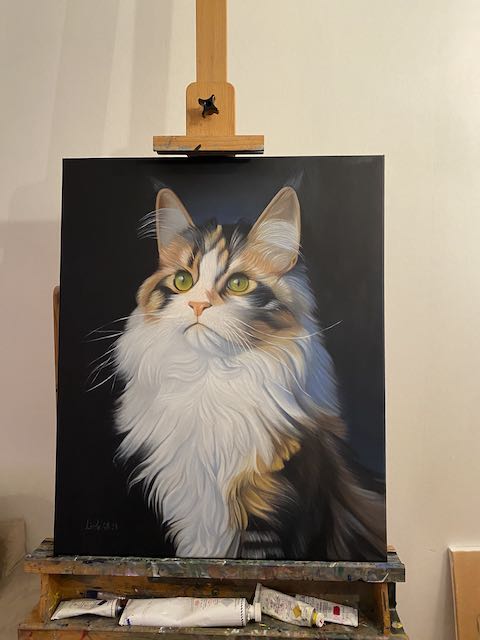 Katt-Handmålad Oljetavla 50x70 cm